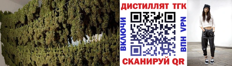 hydra вход  Козловка  Дистиллят ТГК концентрат 