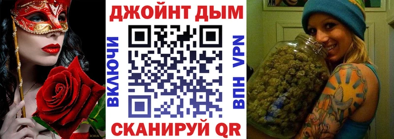 где купить наркотик  Козловка  гидра зеркало  Канабис сатива 